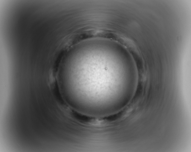 X0000099990607200805301414