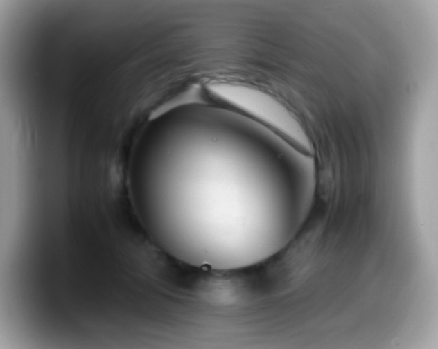 X0000099990608200805301414