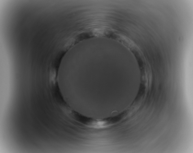 X0000099990610200805301414