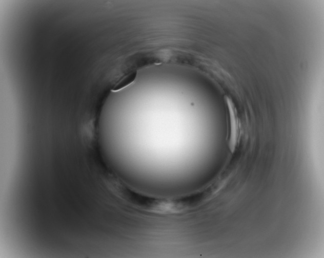 X0000099990611200805301414