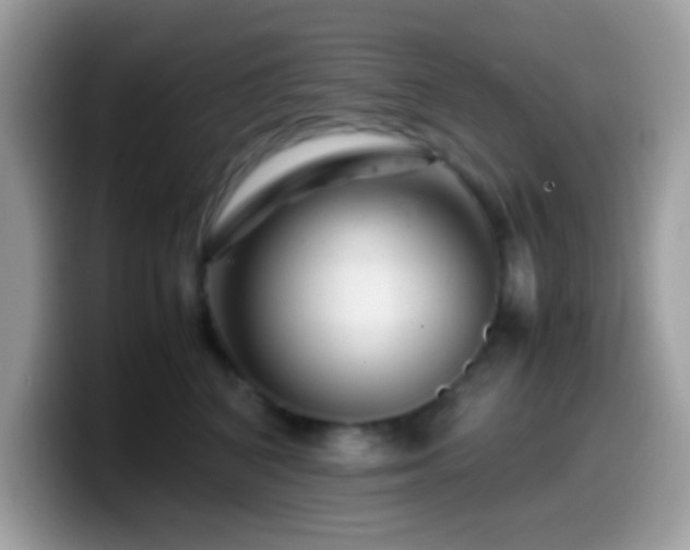X0000099990616200805301414