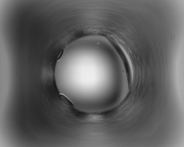 X0000099990617200805301414