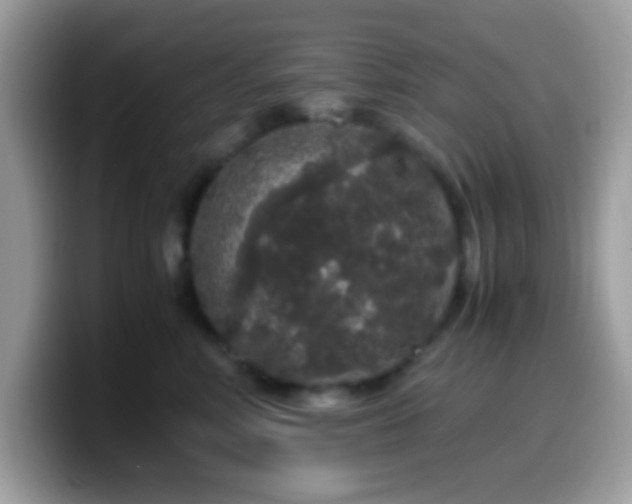 X0000099990618200805301414