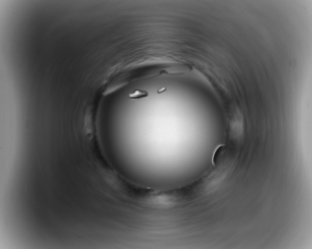 X0000099990620200805301414