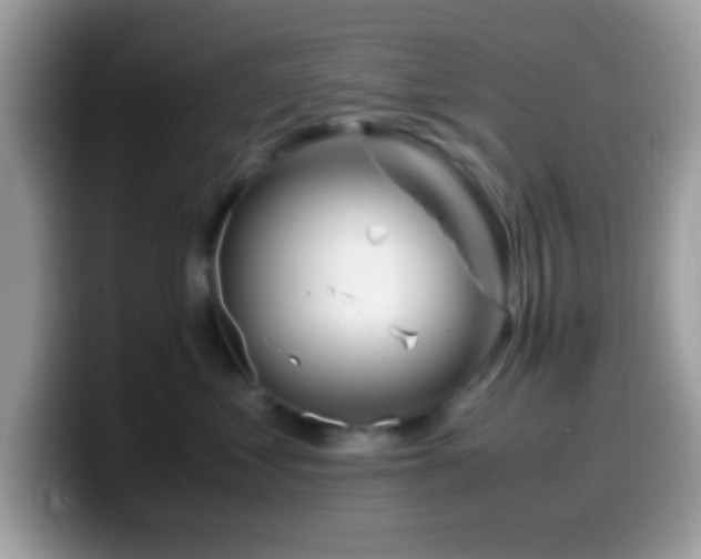 X0000099990621200805301414