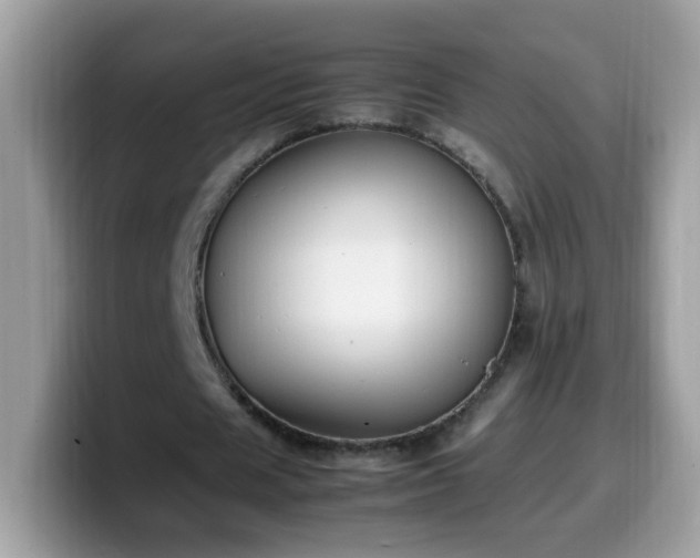 X0000099990625200805301414