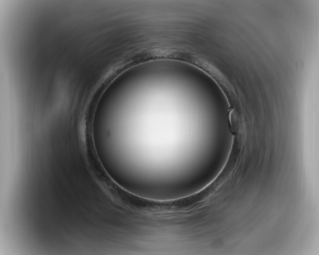 X0000099990626200805301414