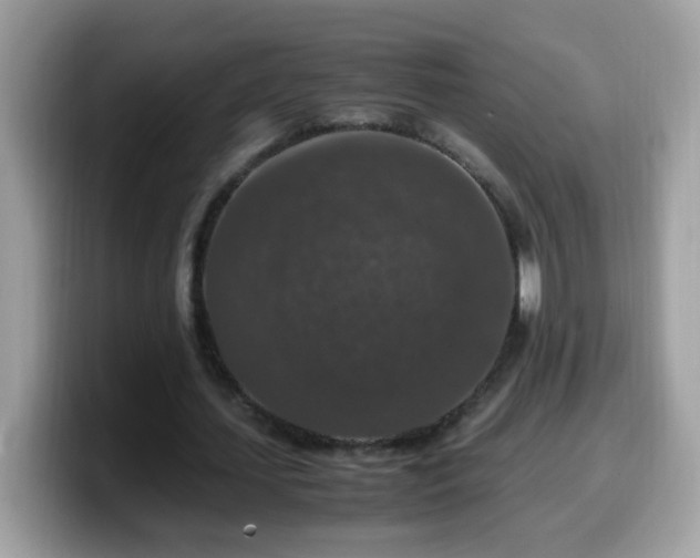 X0000099990627200805301414