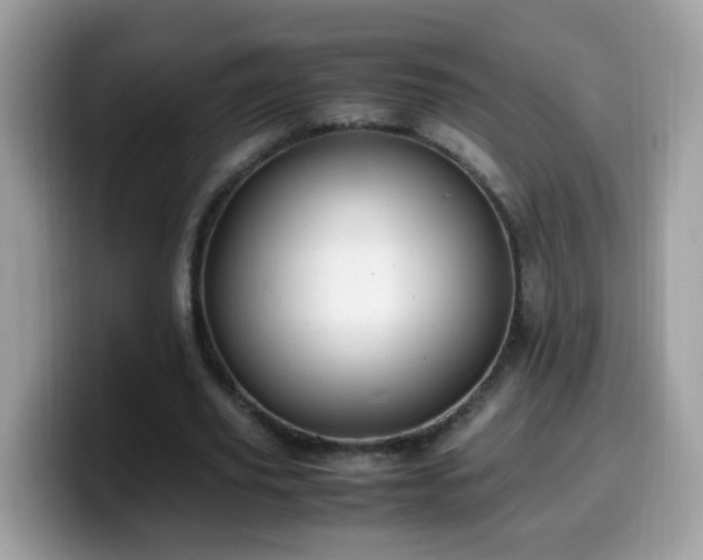 X0000099990629200805301414