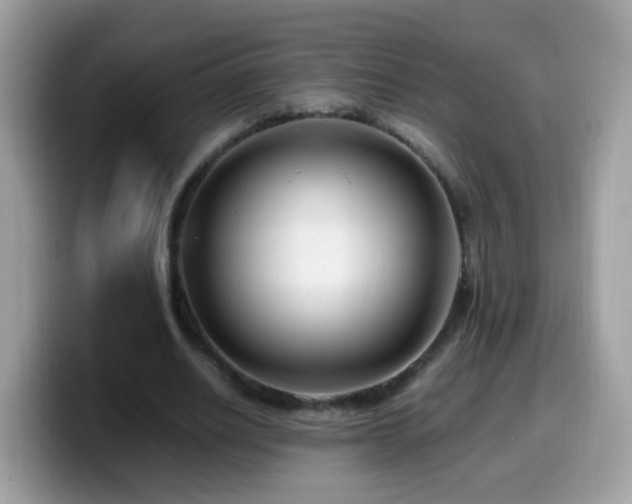 X0000099990630200805301414