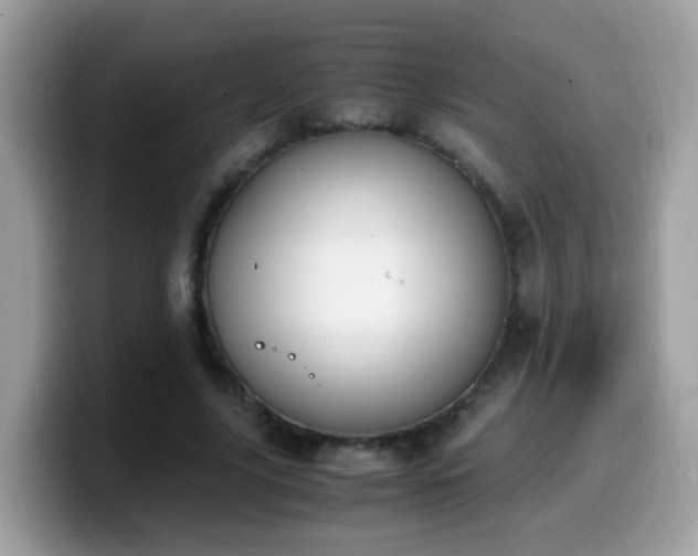 X0000099990635200805301414