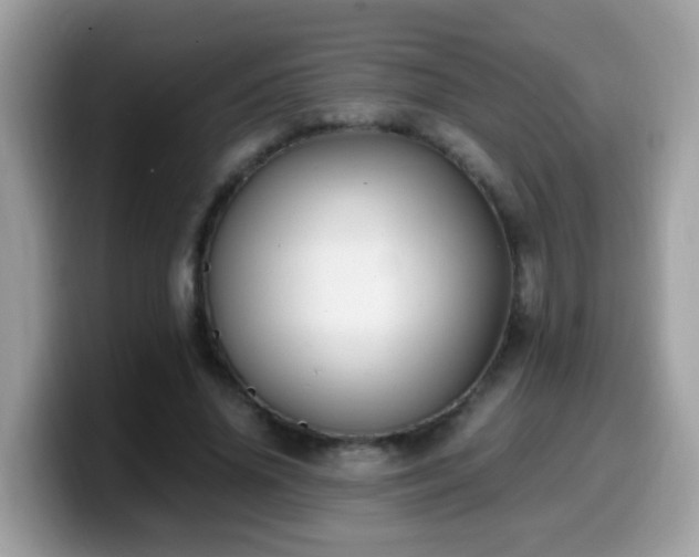 X0000099990636200805301414