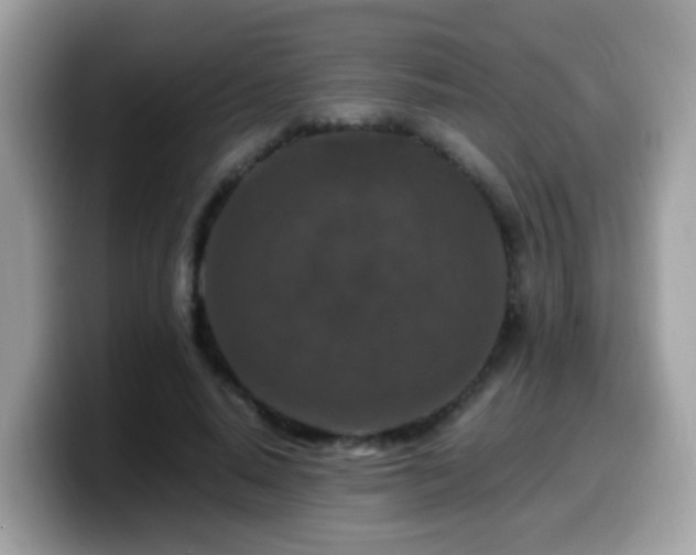 X0000099990640200805301414