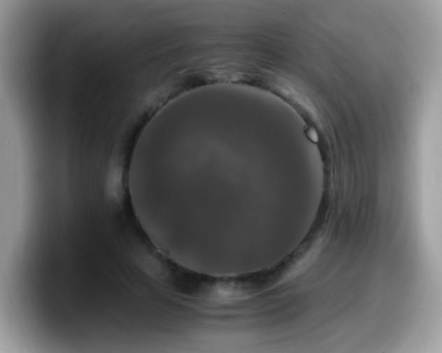 X0000099990641200805301414