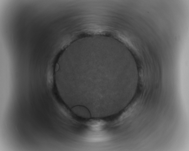 X0000099990642200805301414