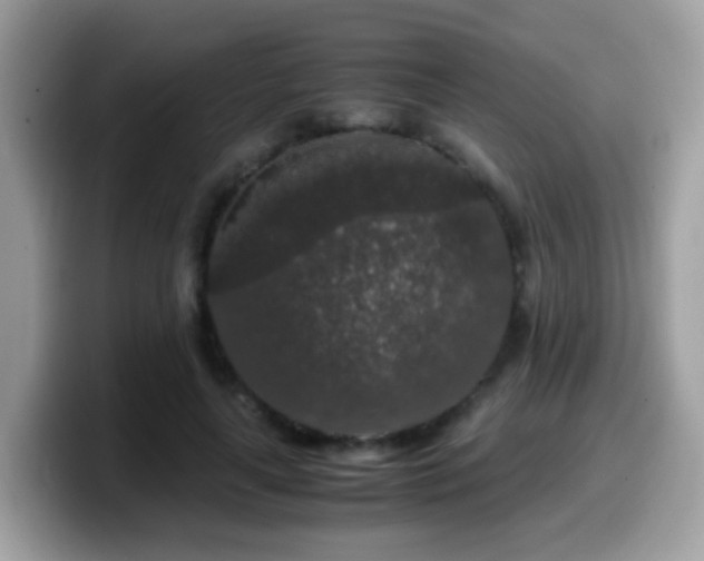 X0000099990643200805301414