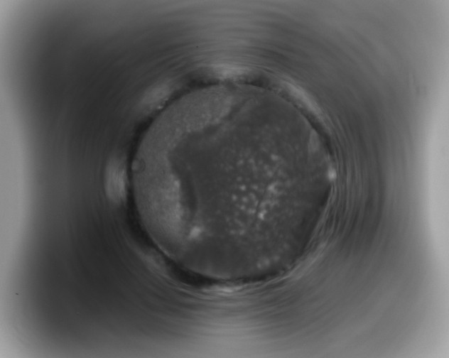 X0000099990644200805301414