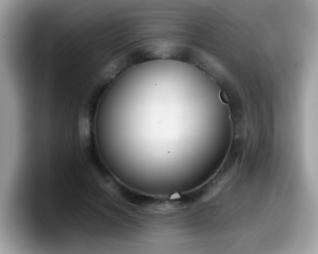 X0000099990646200805301414