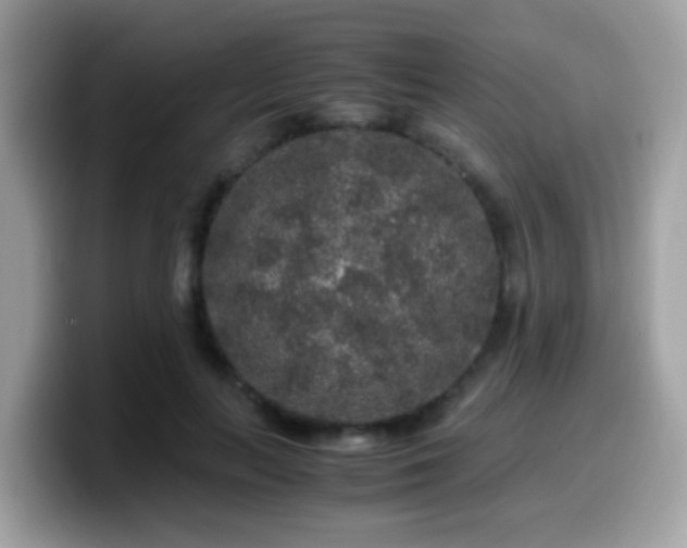 X0000099990647200805301414