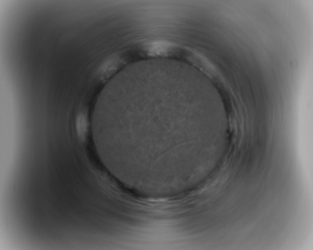 X0000099990648200805301414