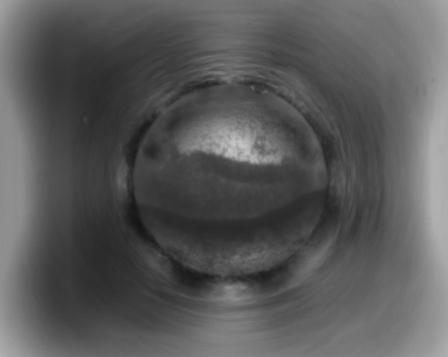 X0000099990650200805301414