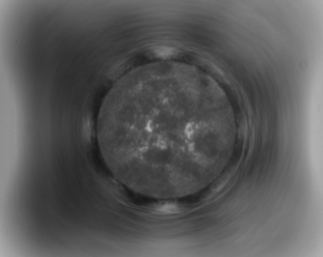 X0000099990651200805301414