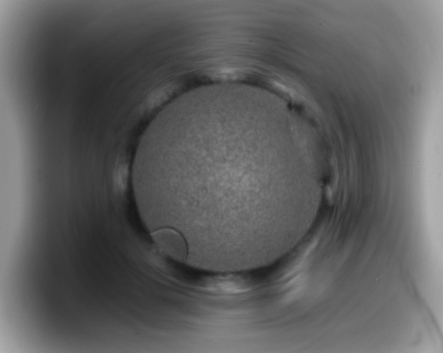 X0000099990652200805301414