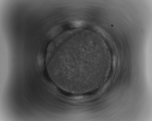 X0000099990653200805301414
