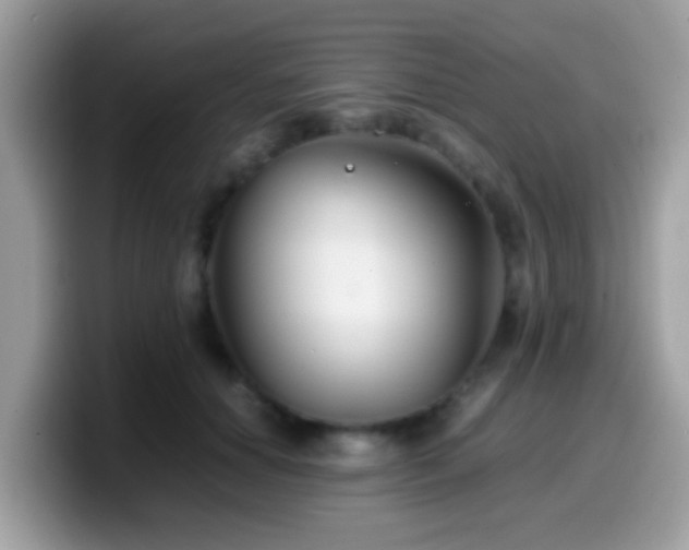 X0000099990654200805301414