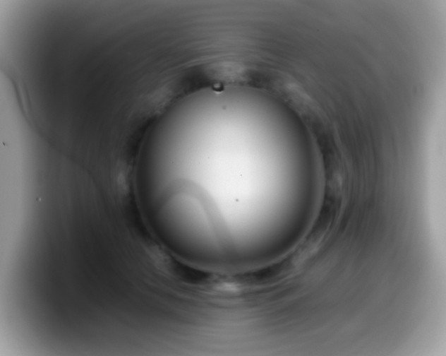 X0000099990658200805301414