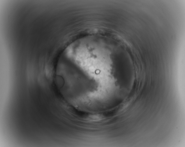X0000099990659200805301414