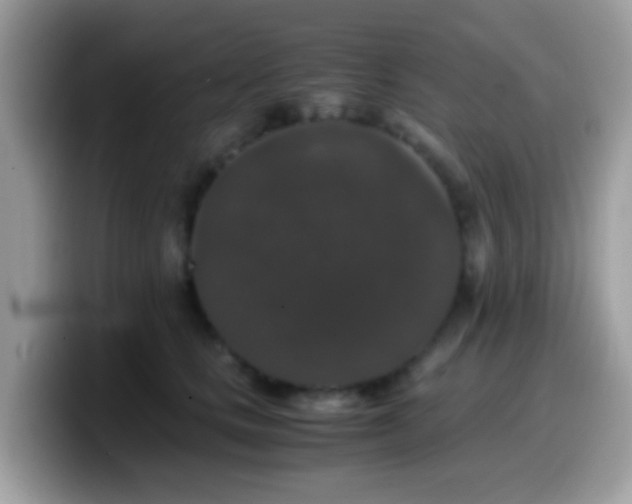 X0000099990661200805301414