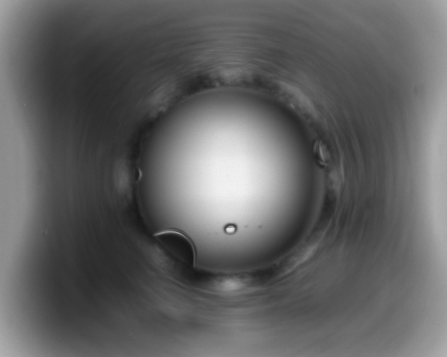 X0000099990662200805301414