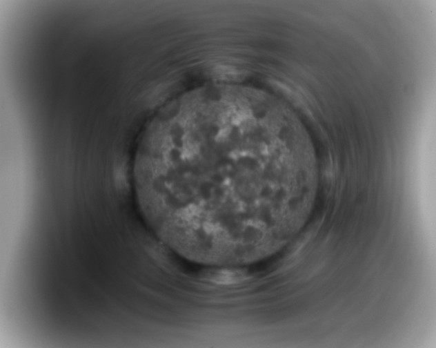 X0000099990663200805301414
