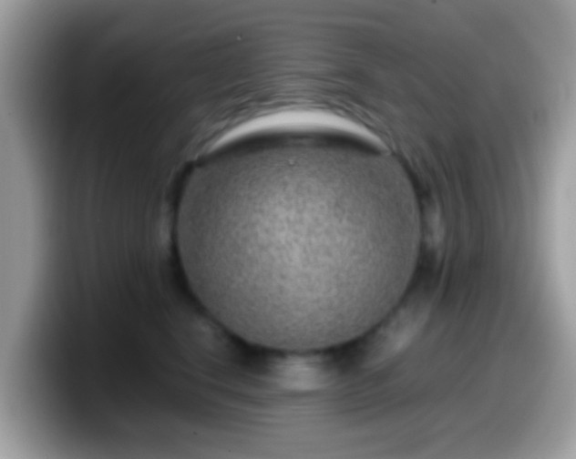 X0000099990664200805301414