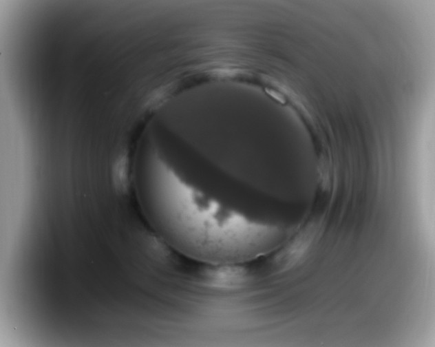 X0000099990670200805301414
