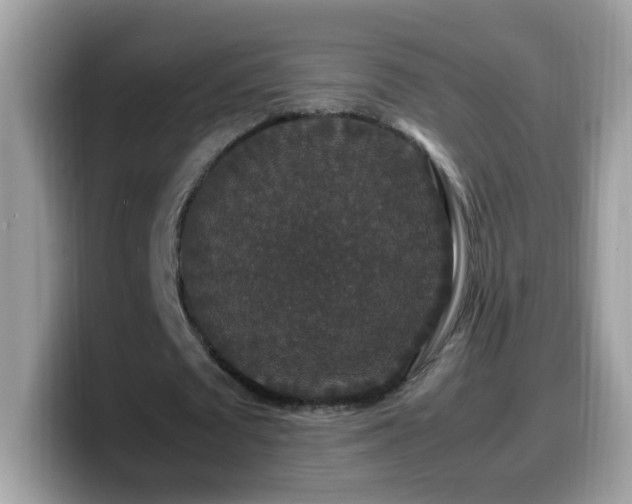 X0000099990673200805301414