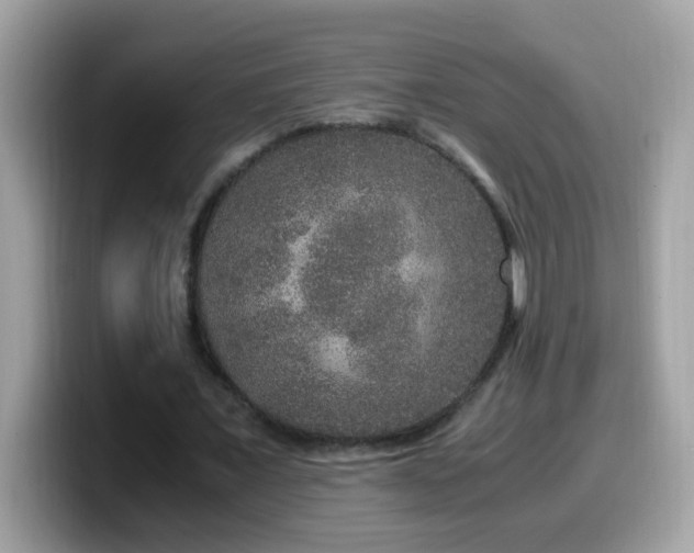 X0000099990675200805301413