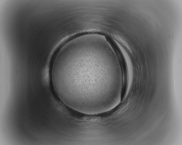X0000099990676200805301413
