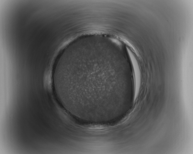 X0000099990677200805301413