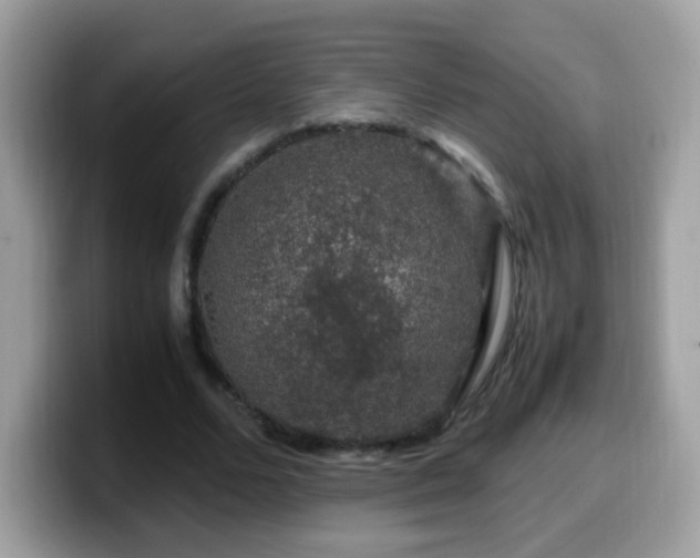 X0000099990680200805301413