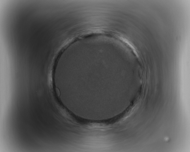 X0000099990681200805301413