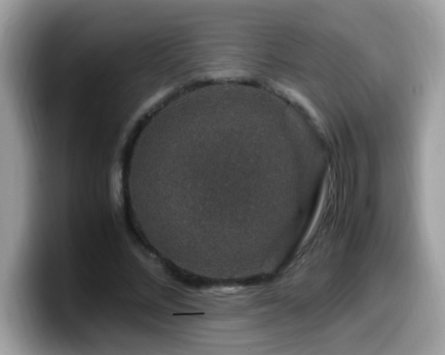 X0000099990684200805301413