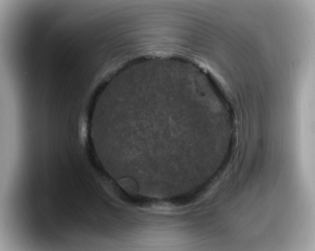 X0000099990685200805301413