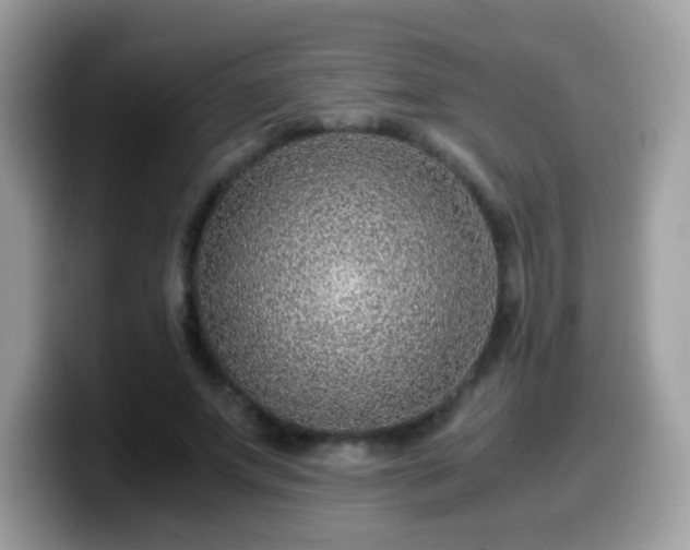 X0000099990687200805301413