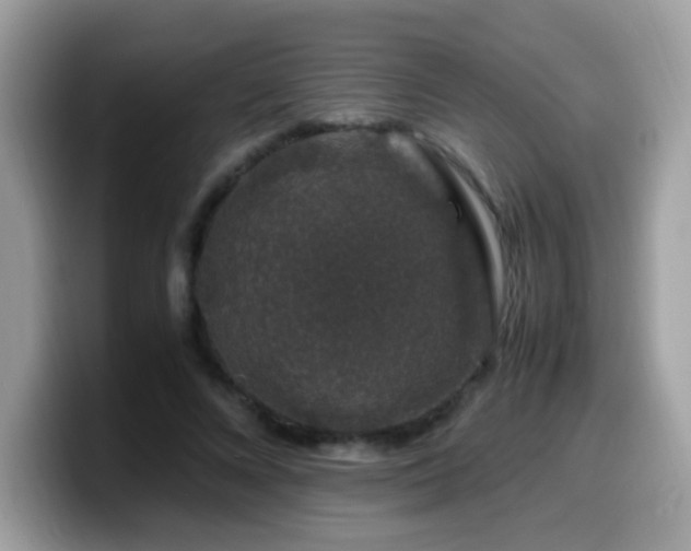 X0000099990688200805301413