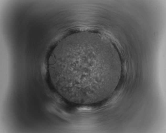 X0000099990691200805301413