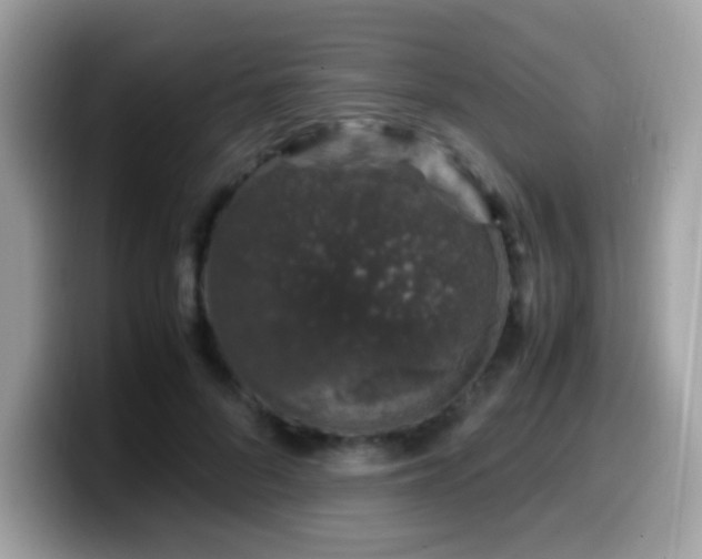 X0000099990696200805301413