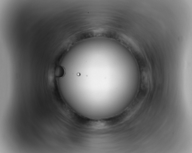 X0000099990698200805301413