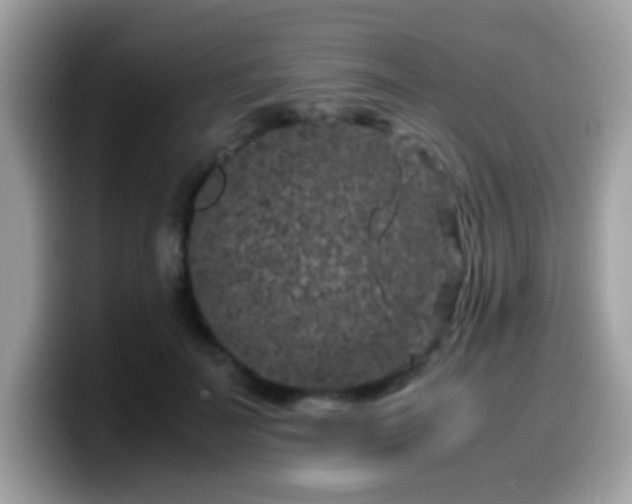 X0000099990699200805301413